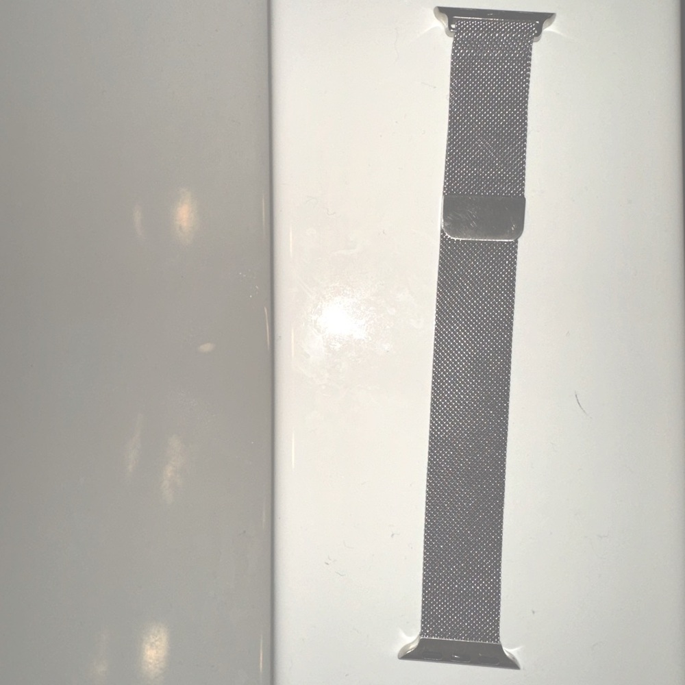 Apple Watch Series 3 stainless steel silver band